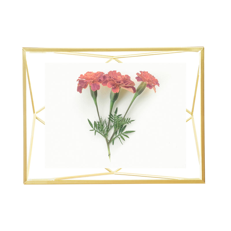 Tabletop Frames | color: Matte-Brass | size: 4x6