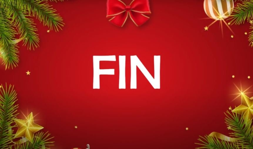 Fin